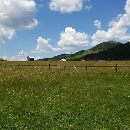Pensiunea Mars House Holiday home Ciocanesti